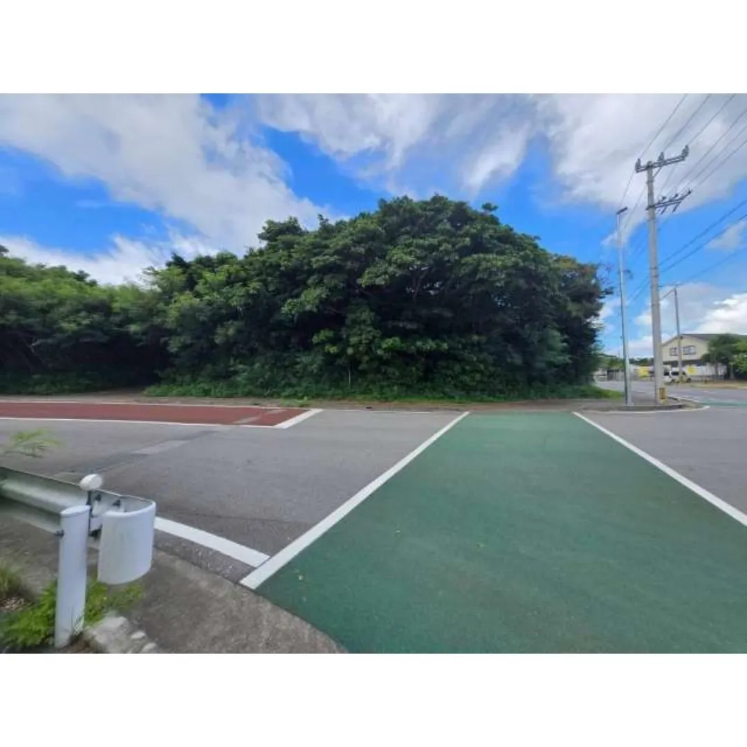 本部町豊原売土地453.01坪✨