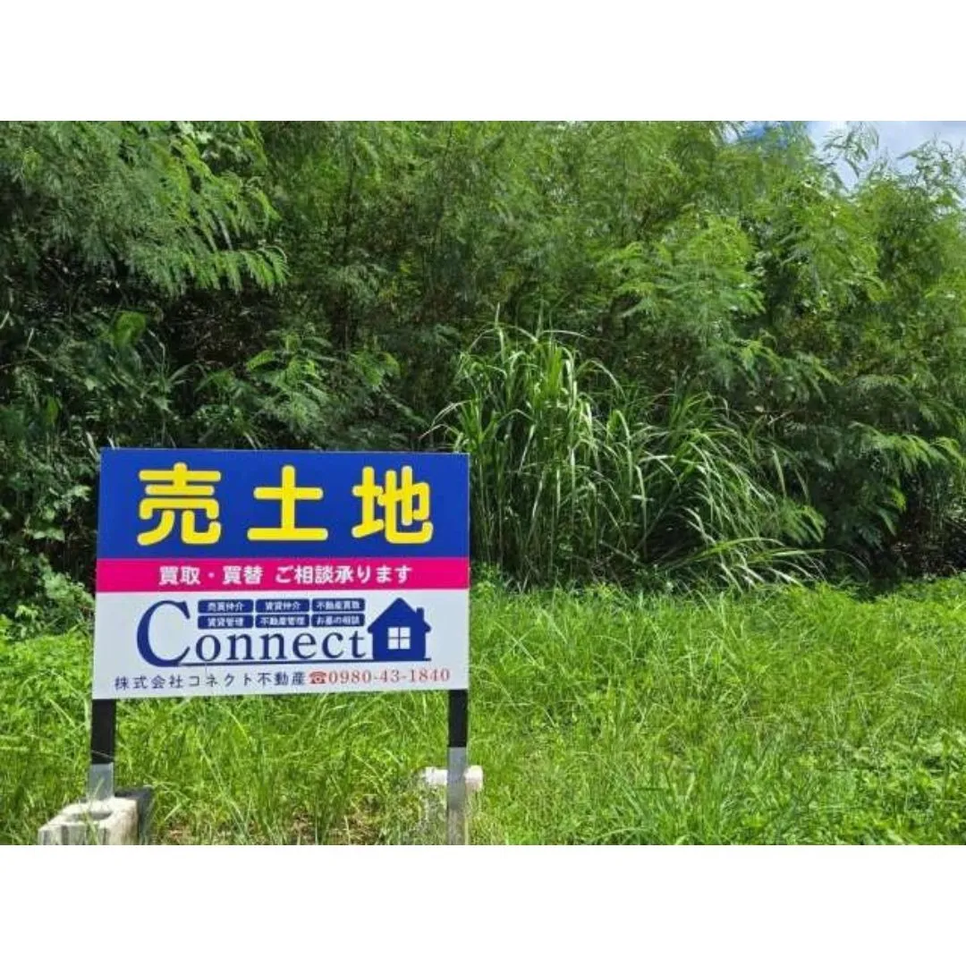 本部町豊原売土地453.01坪✨