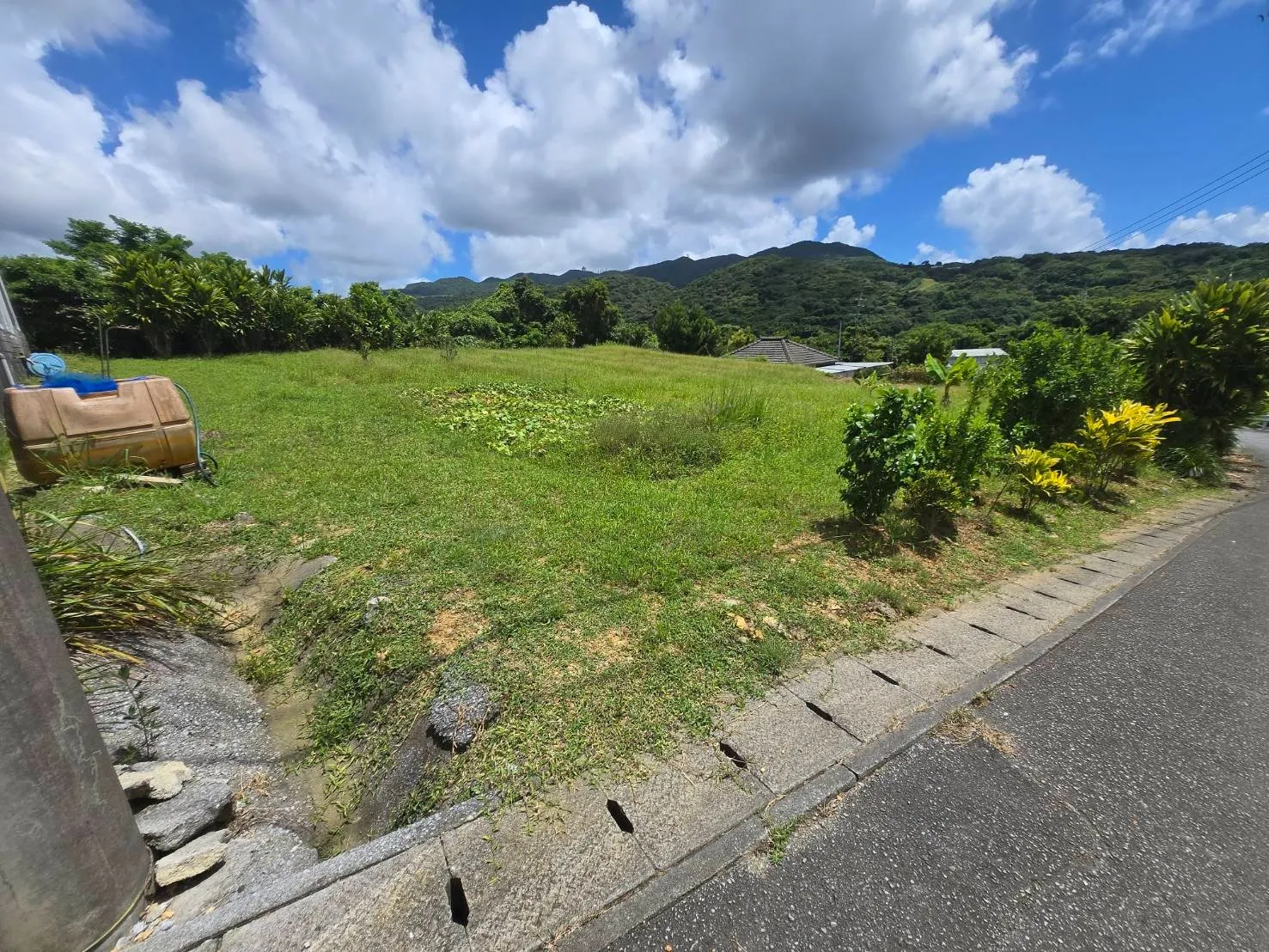 本部町字伊野波売土地