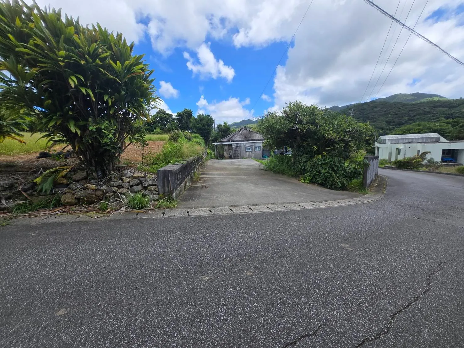 本部町字伊野波売土地