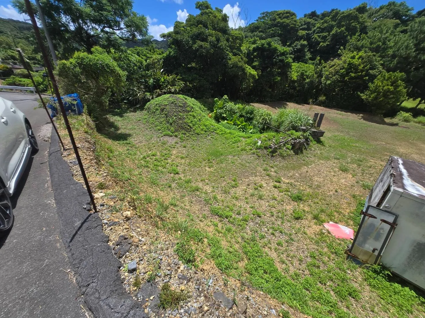 本部町字伊野波売土地