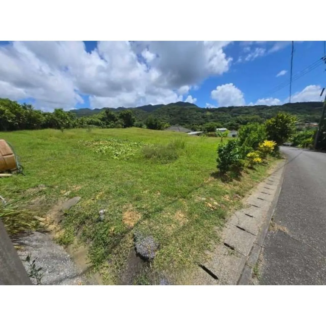 本部町伊野波売土地733.66坪✨