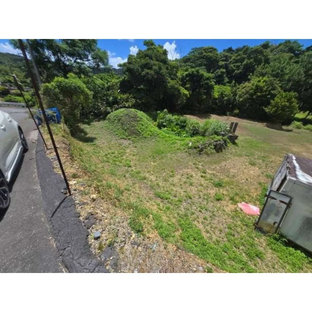 本部町伊野波売土地733.66坪✨