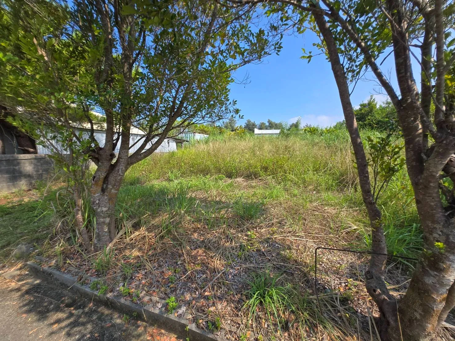 名護市振慶名売土地