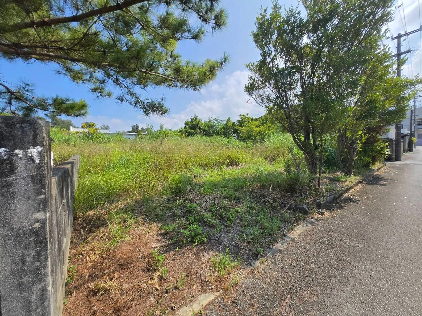 名護市振慶名売土地