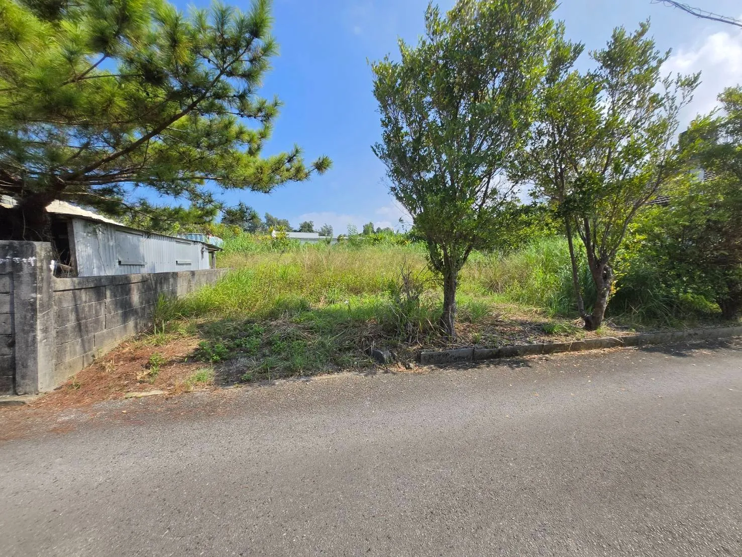 名護市振慶名売土地