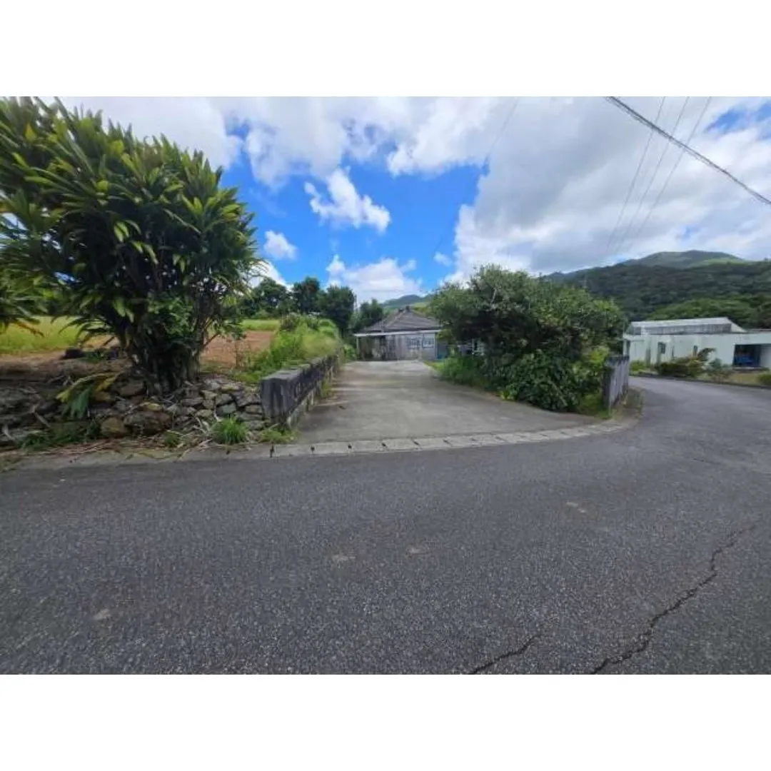 本部町伊野波売土地733.66坪✨
