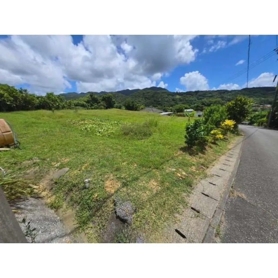 本部町伊野波売土地733.66坪✨
