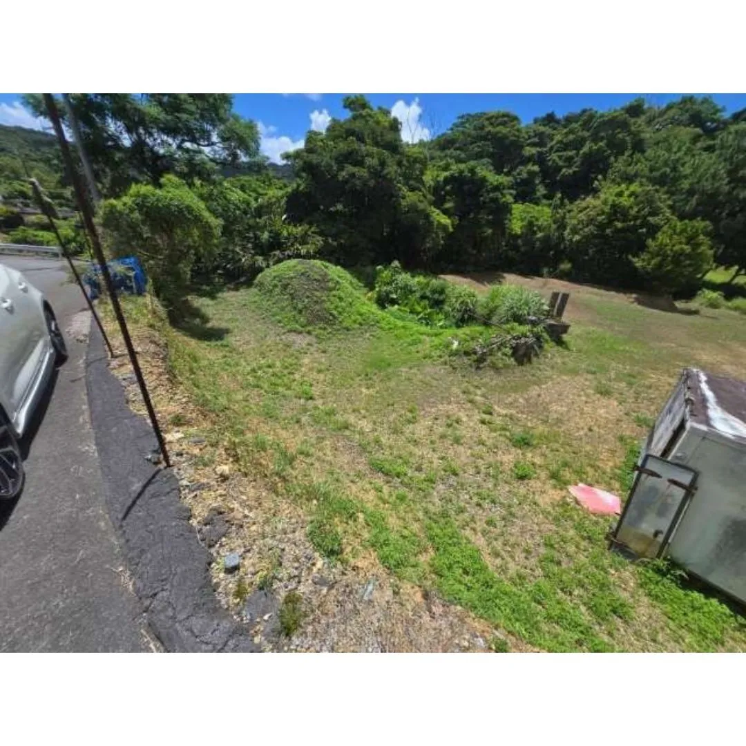 本部町伊野波売土地733.66坪✨