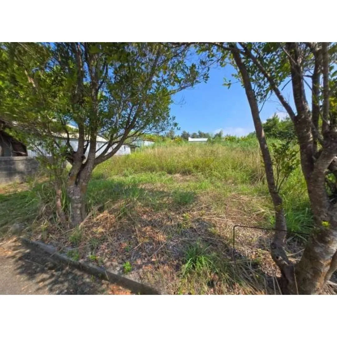 名護市振慶名売土地374.79坪✨