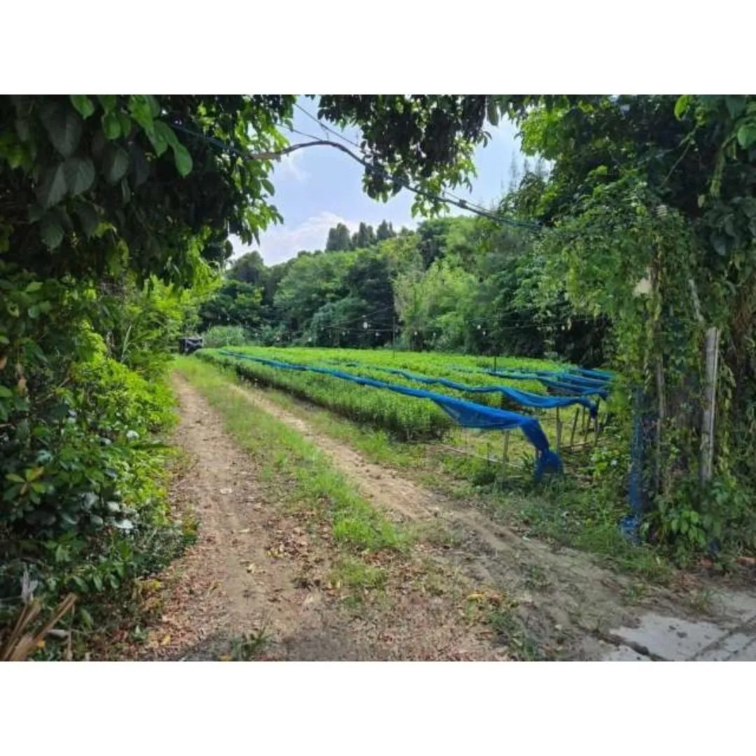 名護市屋部売土地204.79坪✨