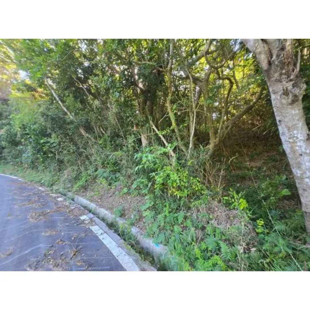 名護市屋我売土地99.82坪✨