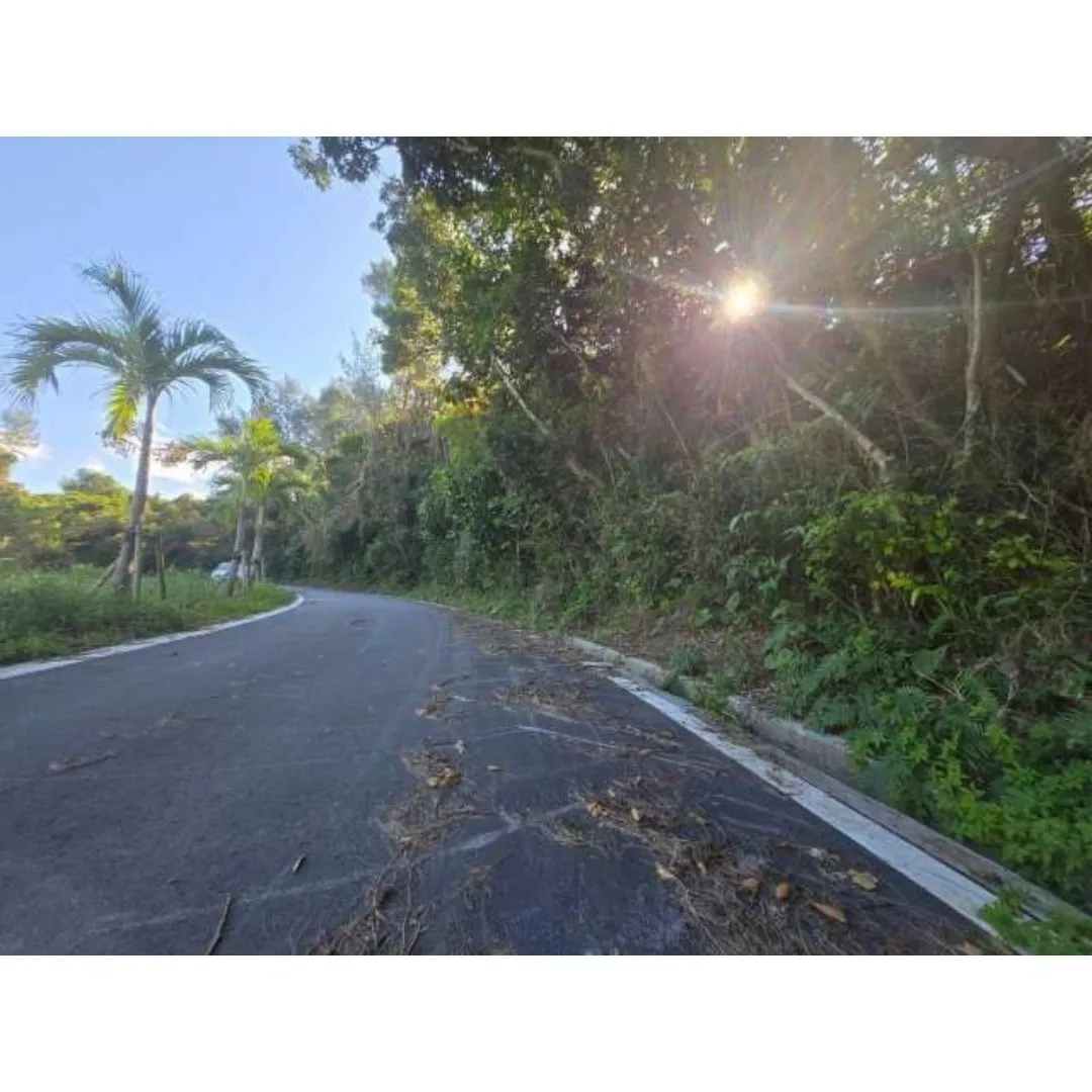 名護市屋我売土地99.82坪✨