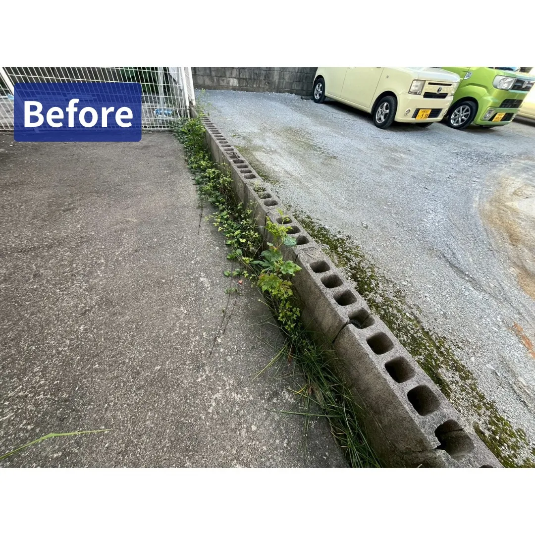 新規管理物件の定期清掃を行いました✨