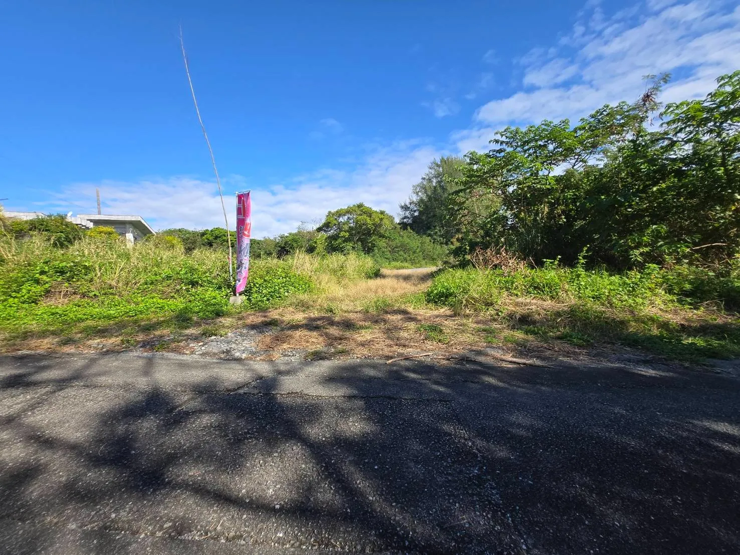 本部町北里売土地