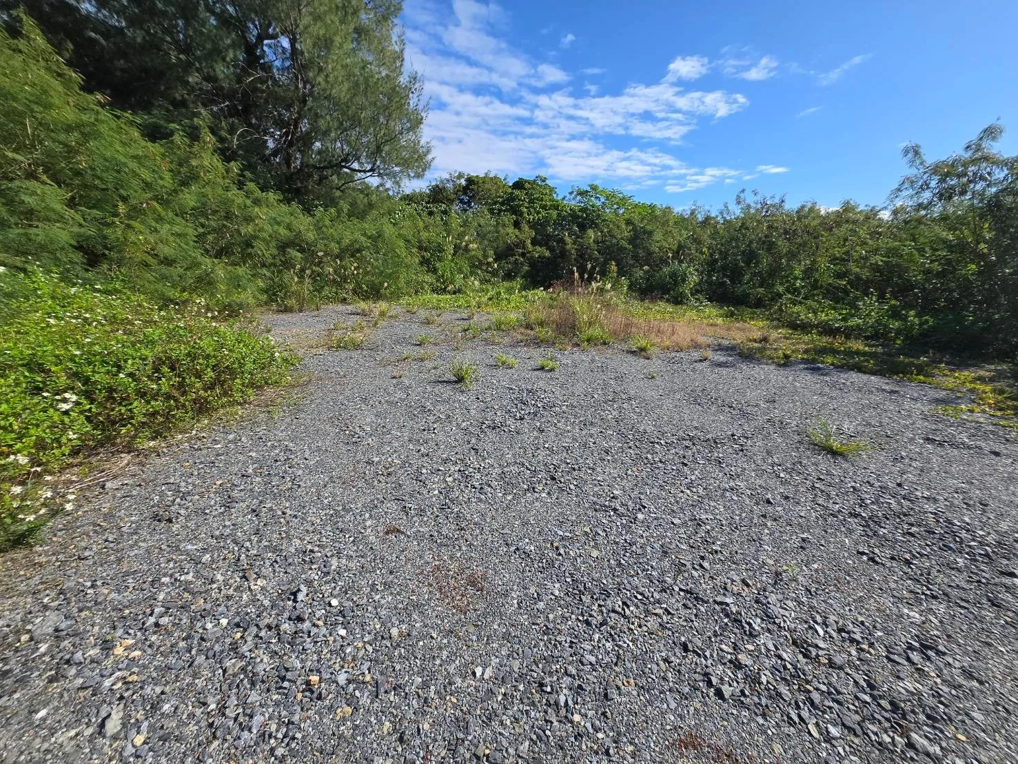 本部町北里売土地