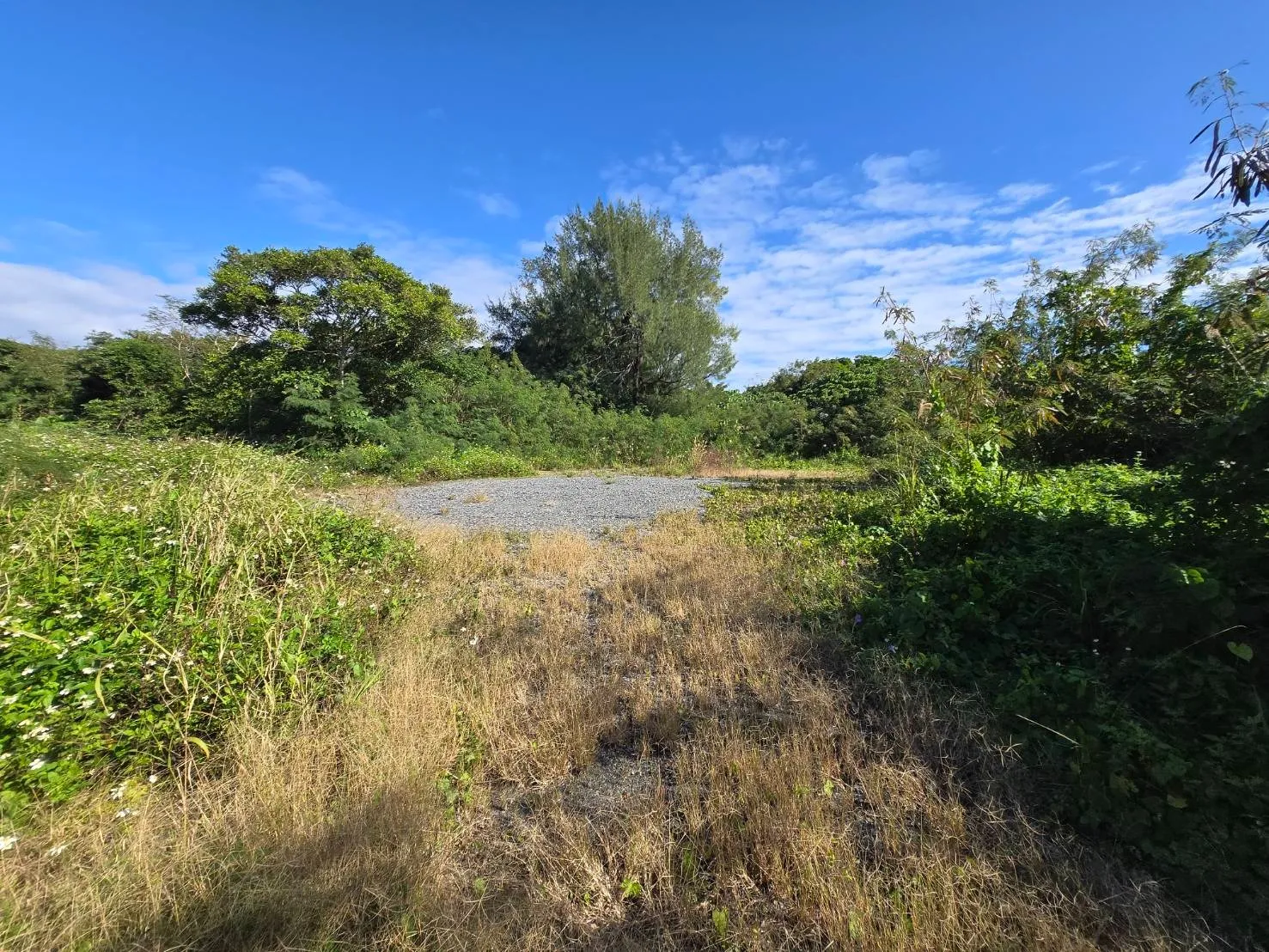 本部町北里売土地