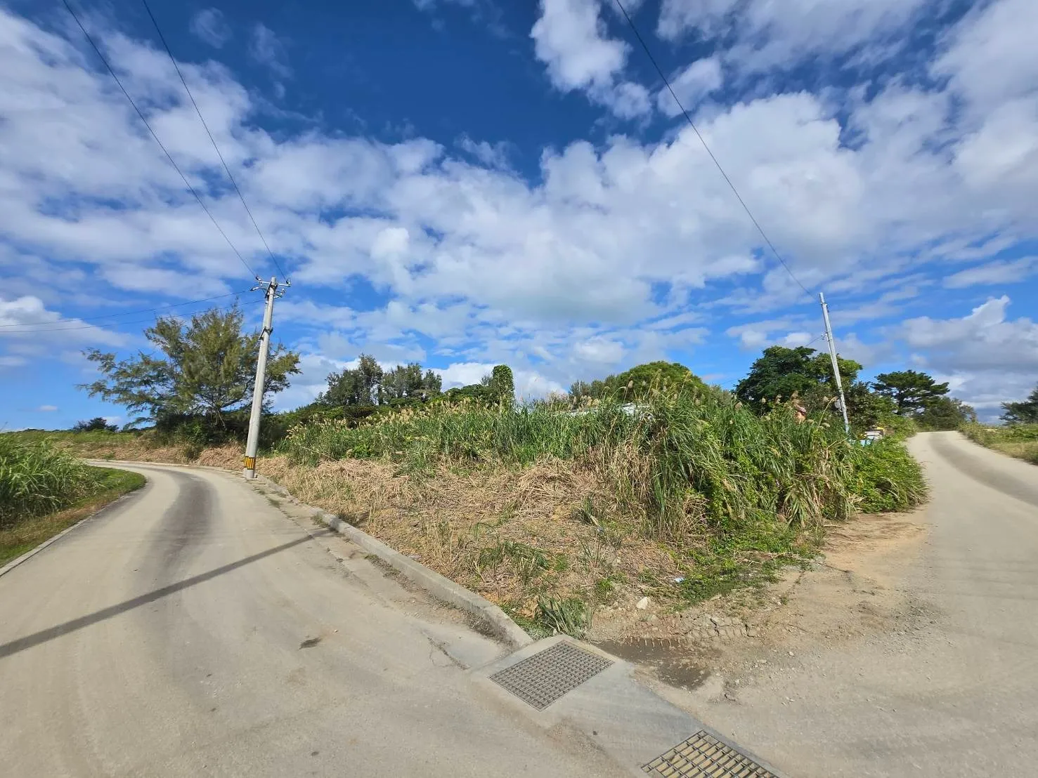 名護市屋我売土地