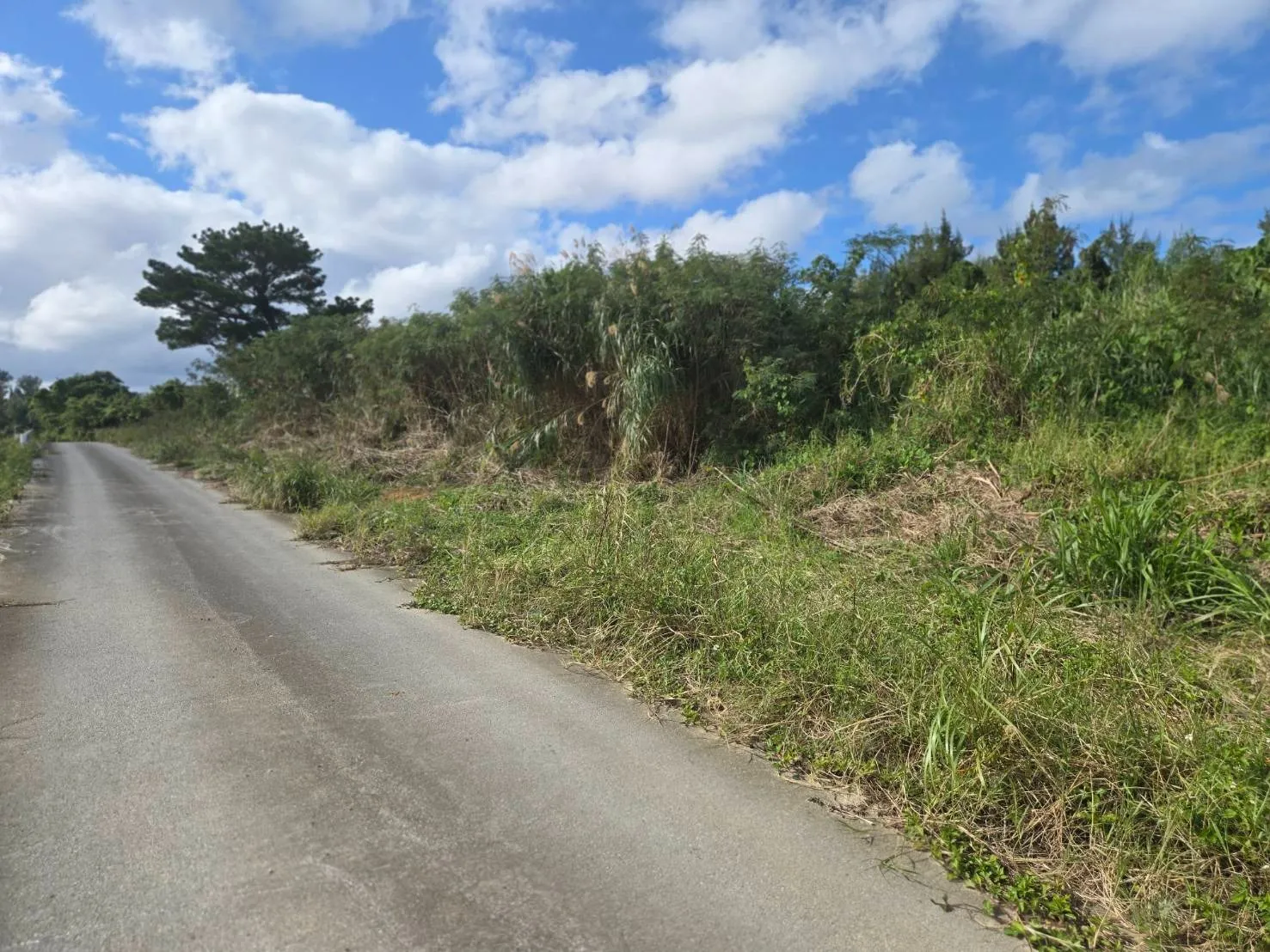 名護市屋我売土地