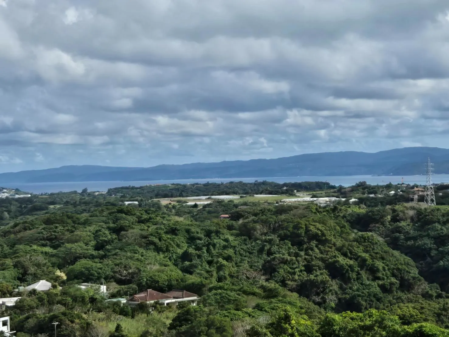 今帰仁村玉城売土地