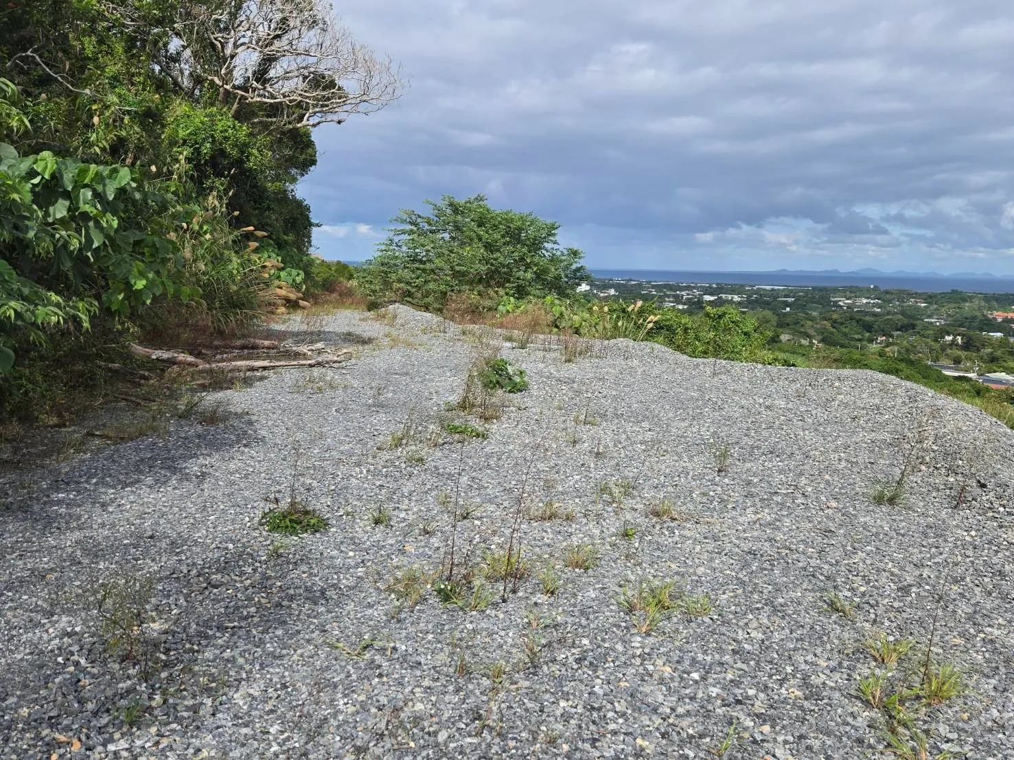 今帰仁村玉城売土地