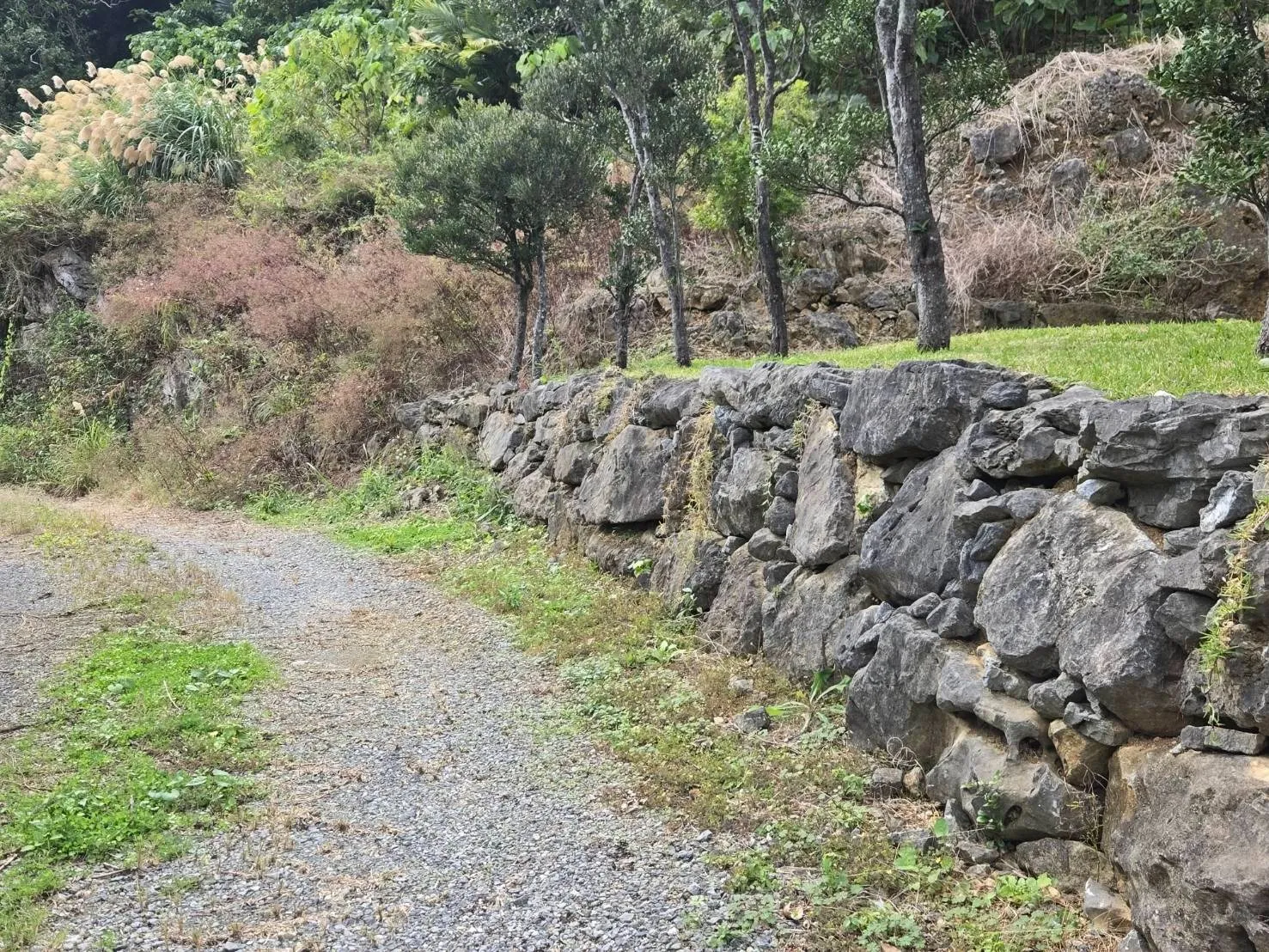 今帰仁村玉城売土地