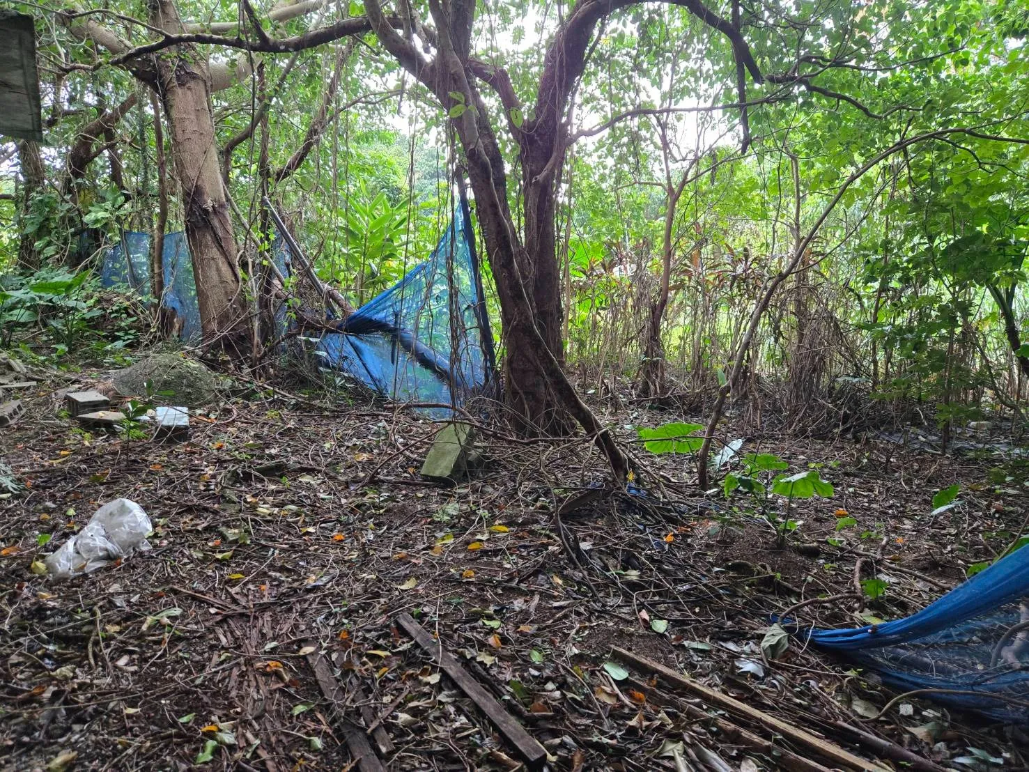 名護市屋部3筆売土地