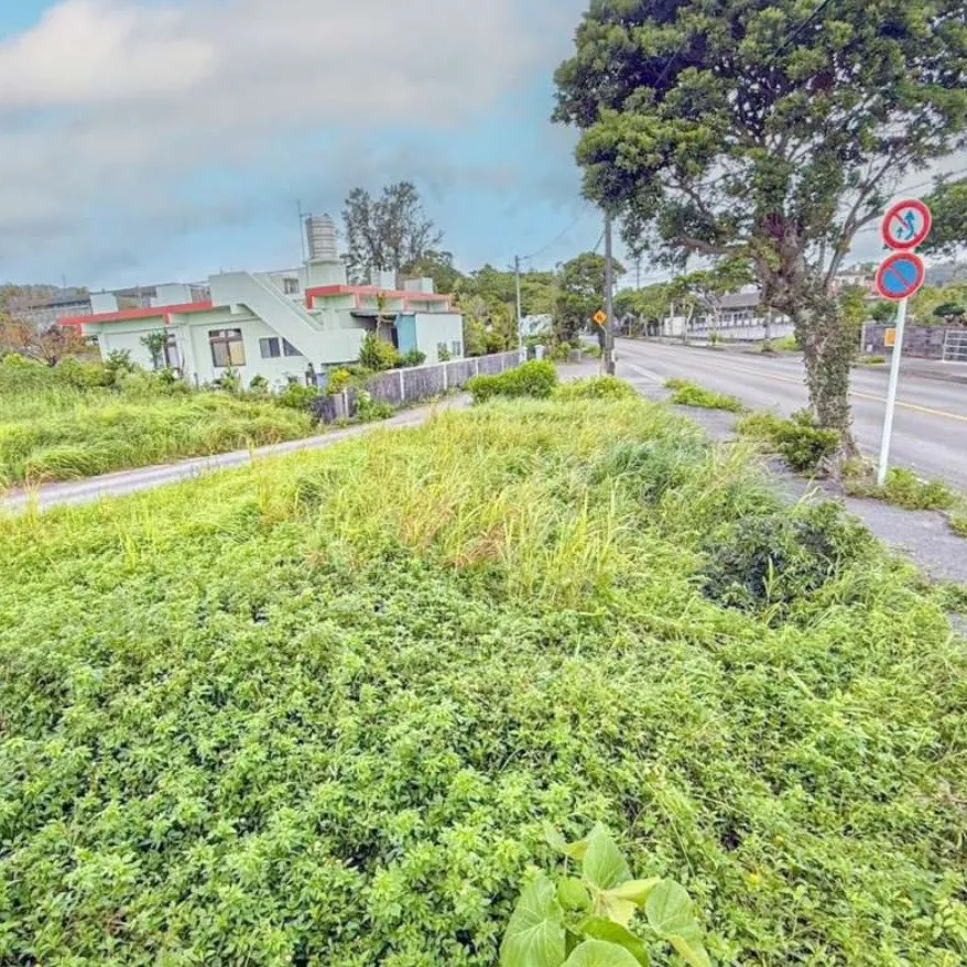 🌿🏡 名護市稲嶺の売土地！！ 🏡🌿