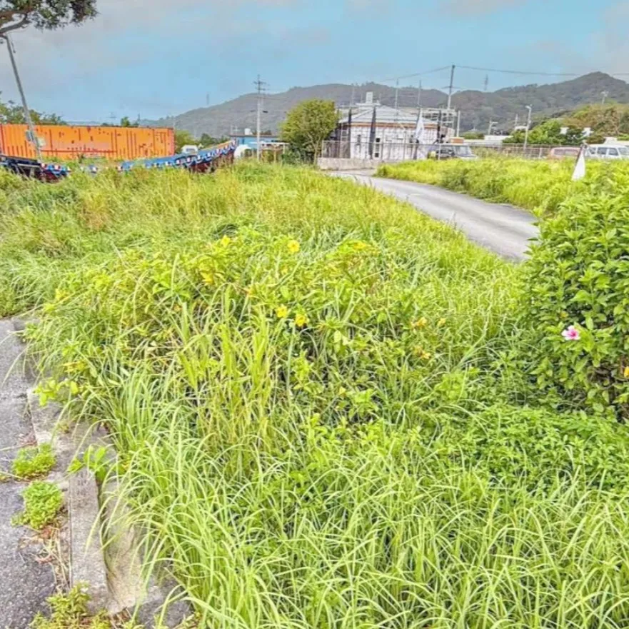 🌿🏡 名護市稲嶺の売土地！！ 🏡🌿