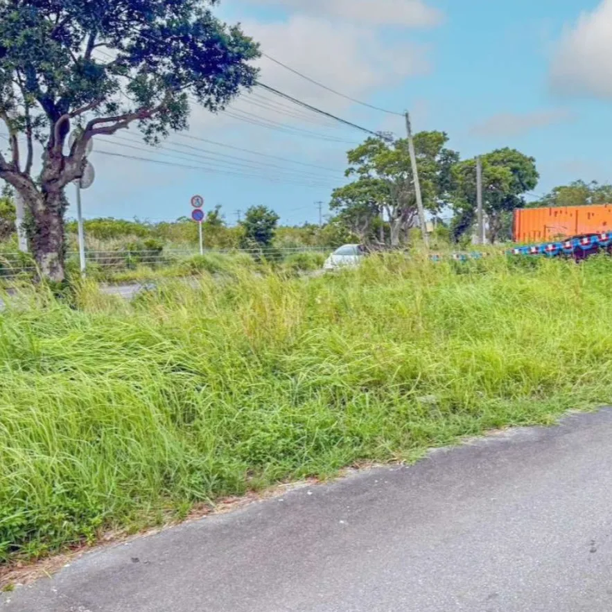 🌿🏡 名護市稲嶺の売土地！！ 🏡🌿
