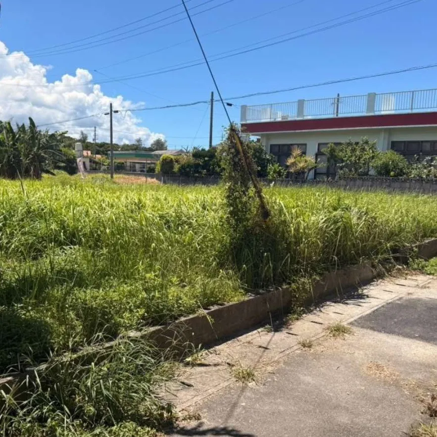 🏡✨ 名護市済井出の売土地！ ✨🏡