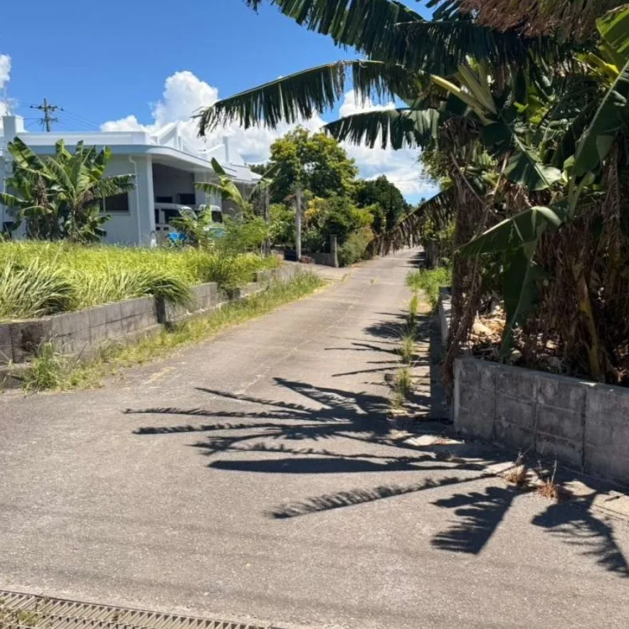 🏡✨ 名護市済井出の売土地！ ✨🏡