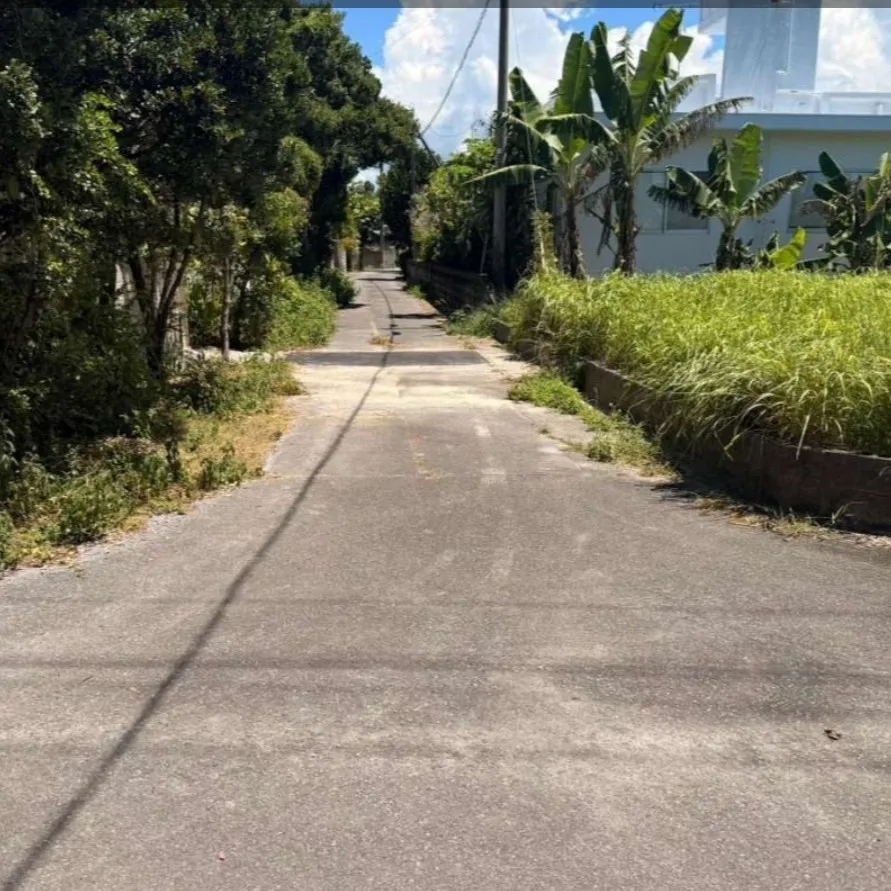 🏡✨ 名護市済井出の売土地！ ✨🏡