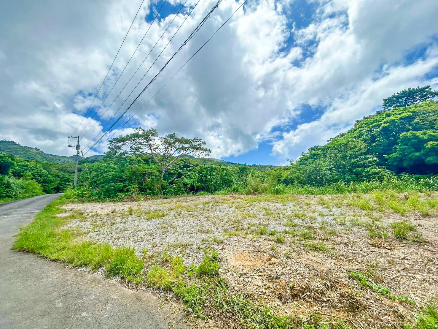 本部町崎本部売土地 860㎡