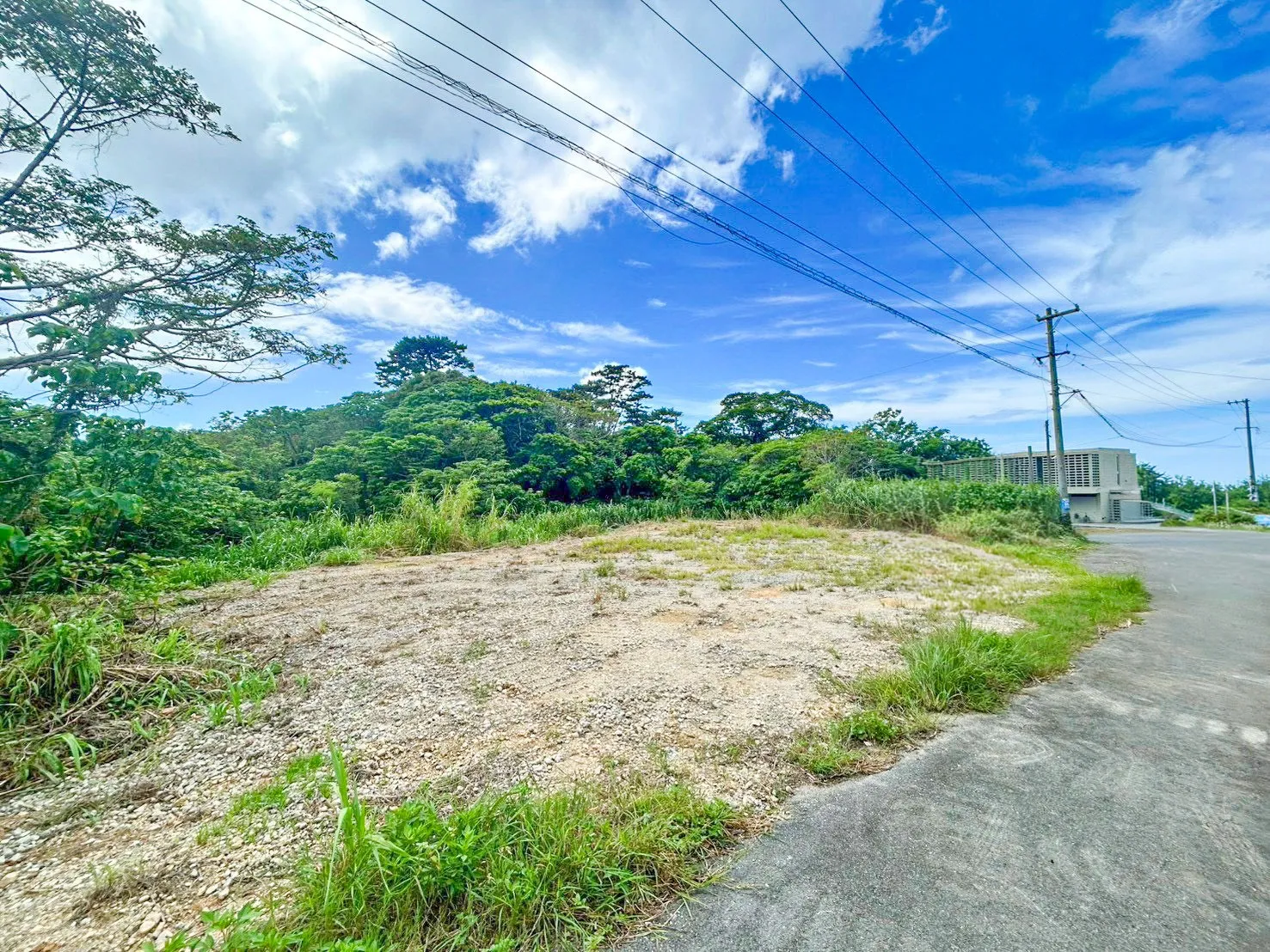 本部町崎本部売土地 860㎡