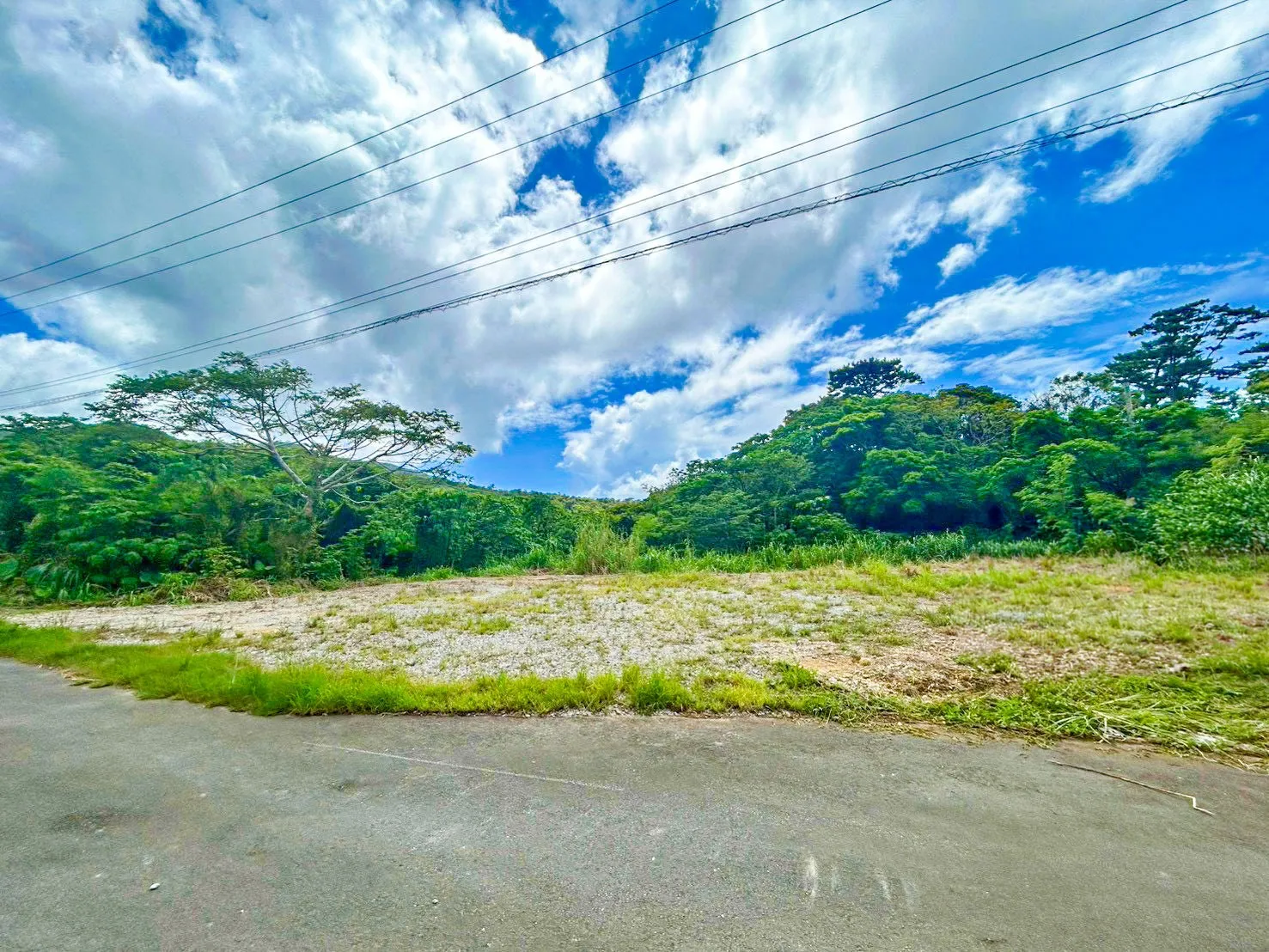 本部町崎本部売土地 860㎡